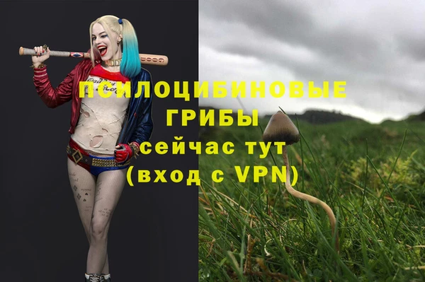 сатива Протвино