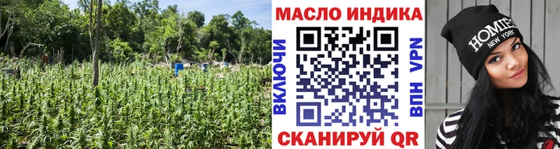 как найти закладки Богородск Дистиллят ТГК гашишное масло