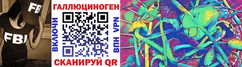 Галлюциногенные грибы GOLDEN TEACHER  даркнет наркотические препараты  Богородск  купить наркотик 